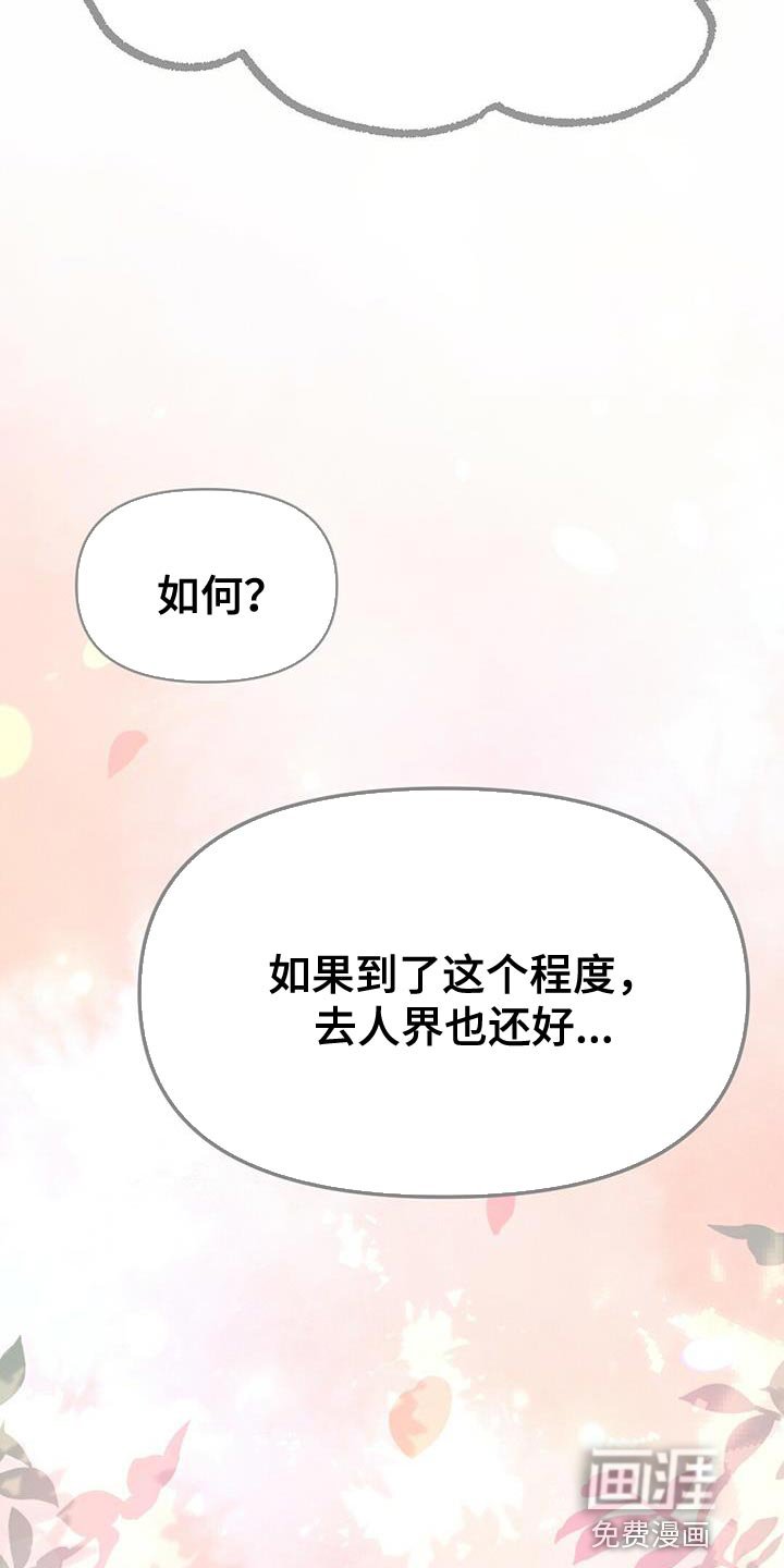 第40章：假象