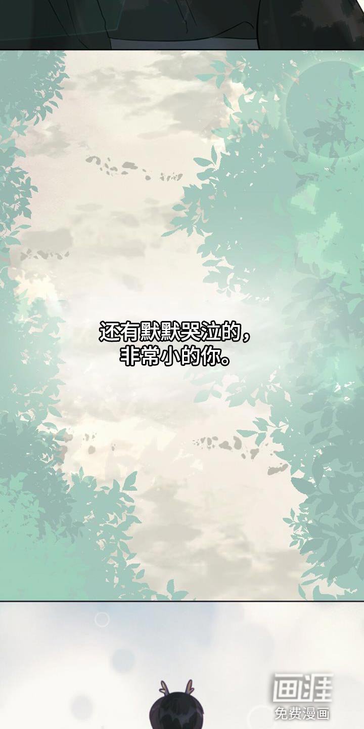 第40章：假象