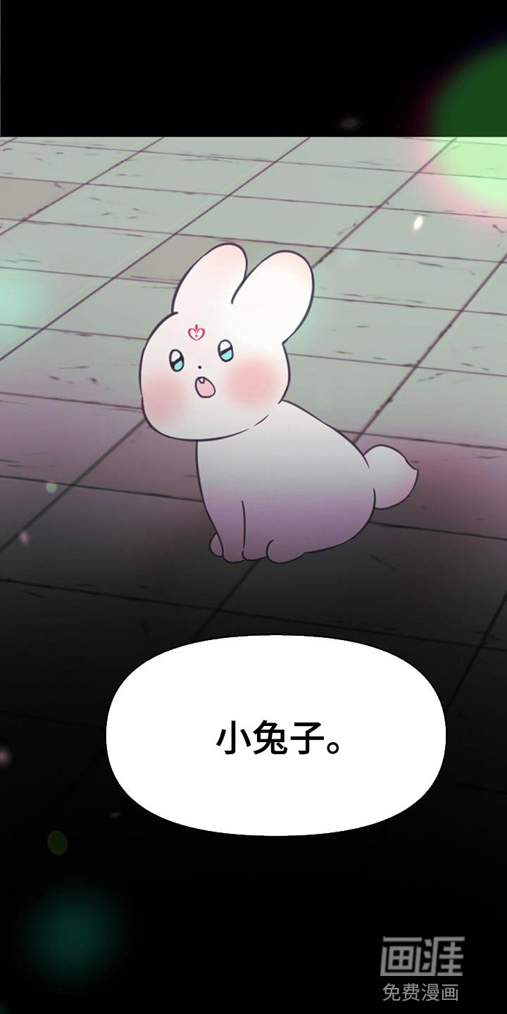 第46章：别有用心的兔子