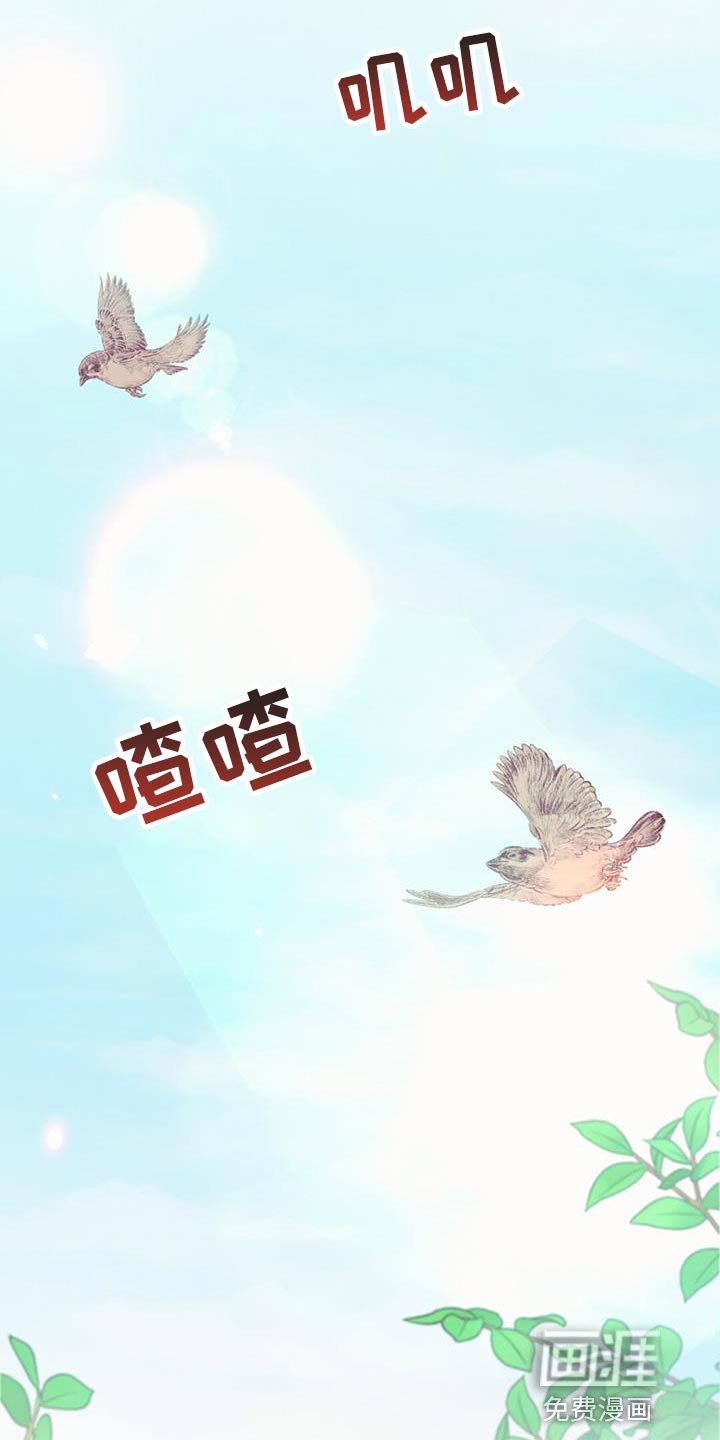 第48章：庆典