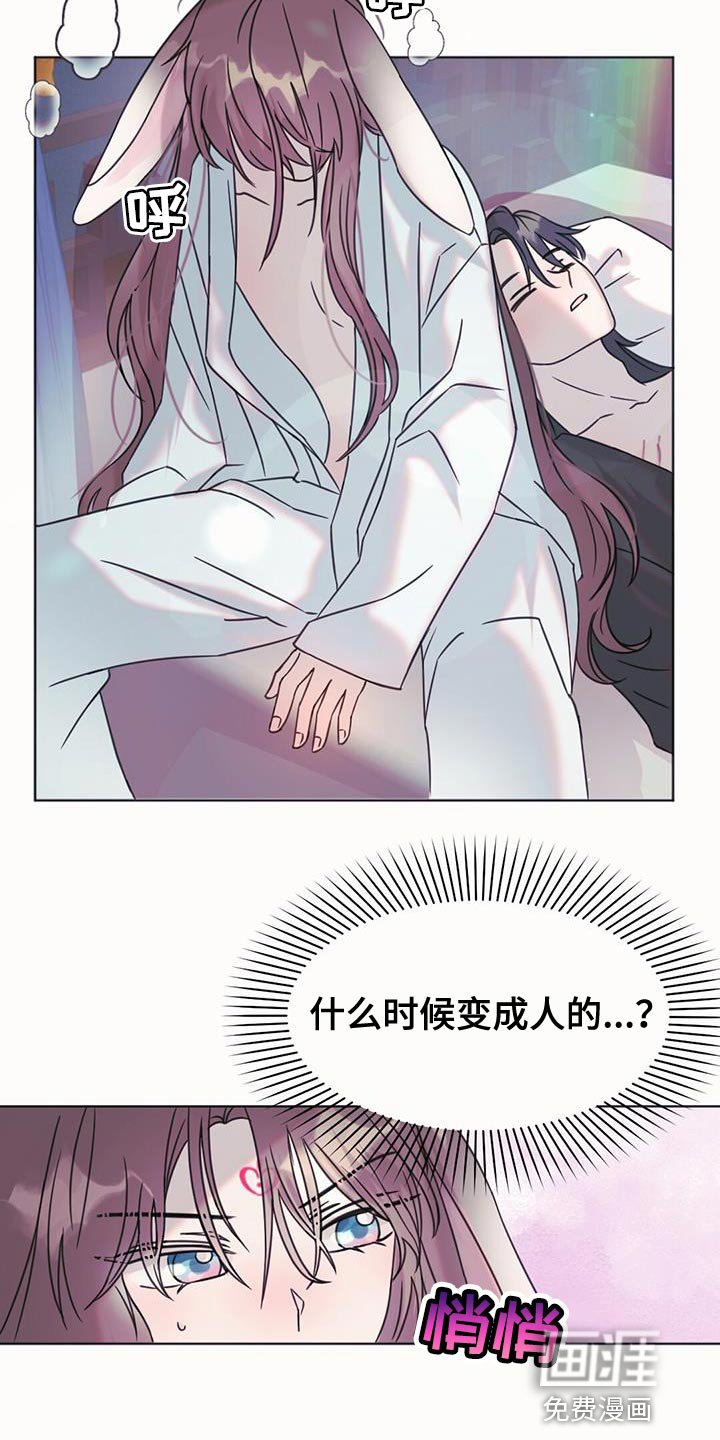 第48章：庆典