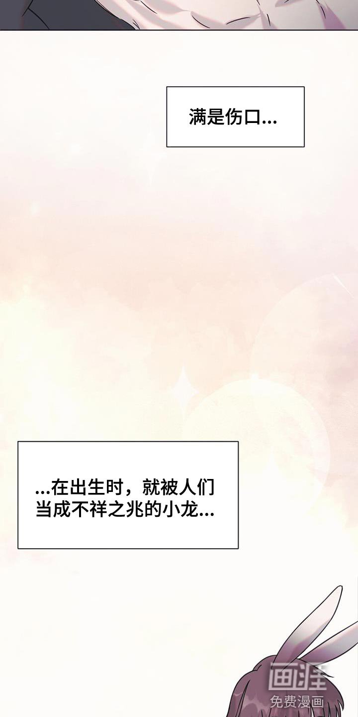 第48章：庆典