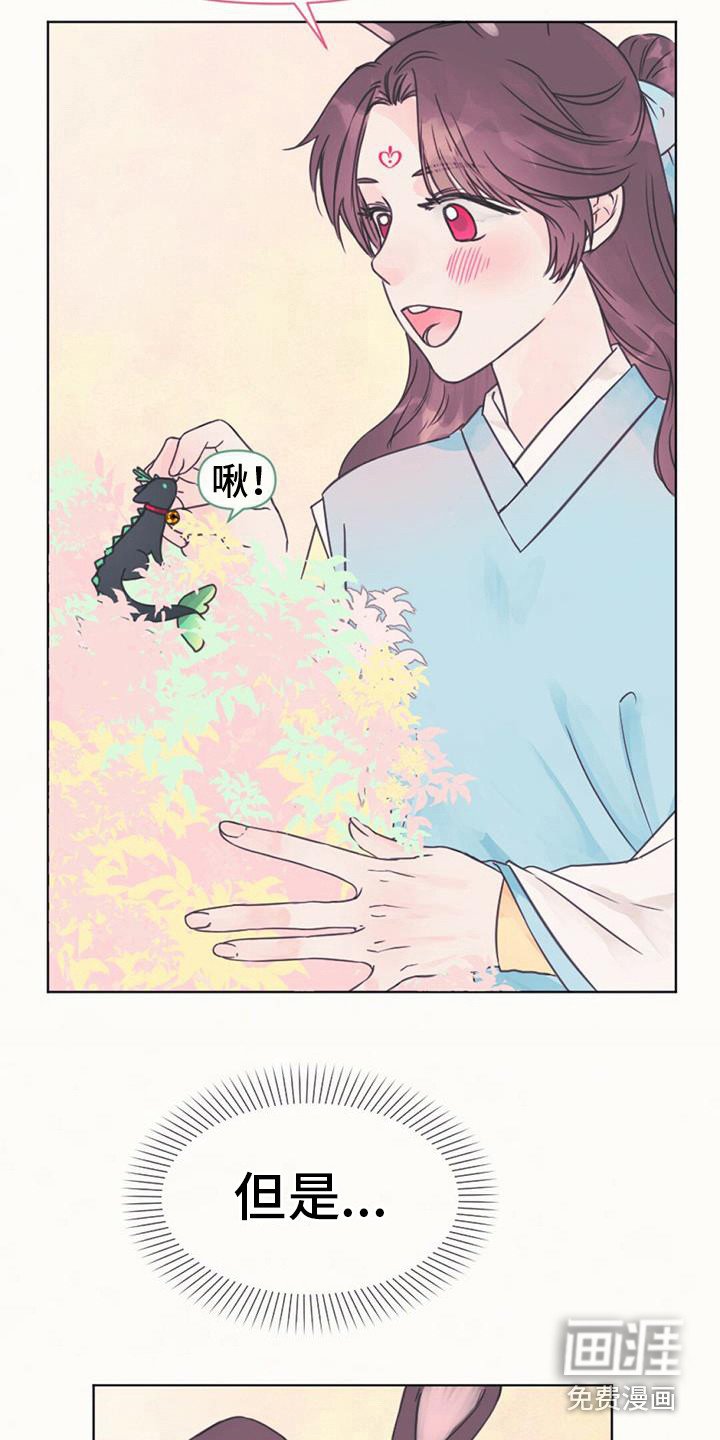 第5章：长不大