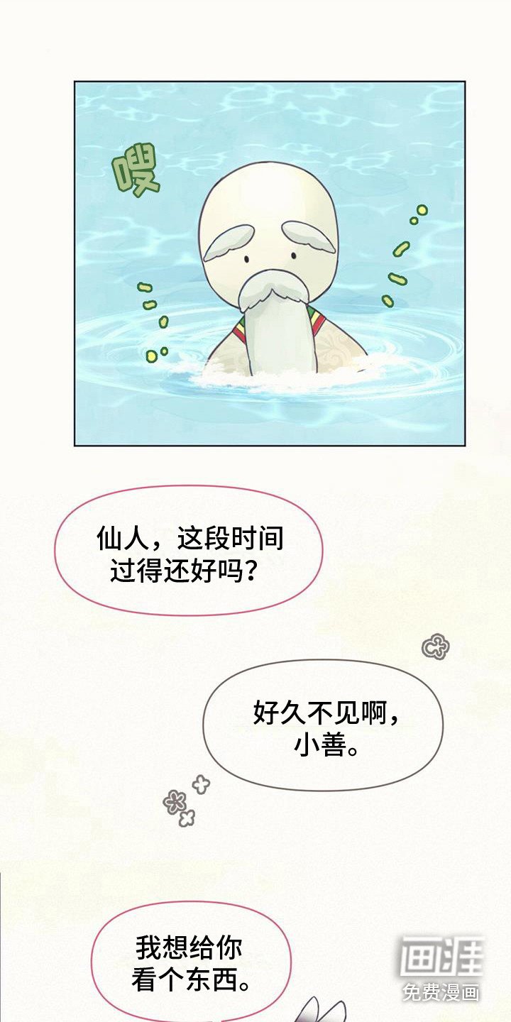 第5章：长不大
