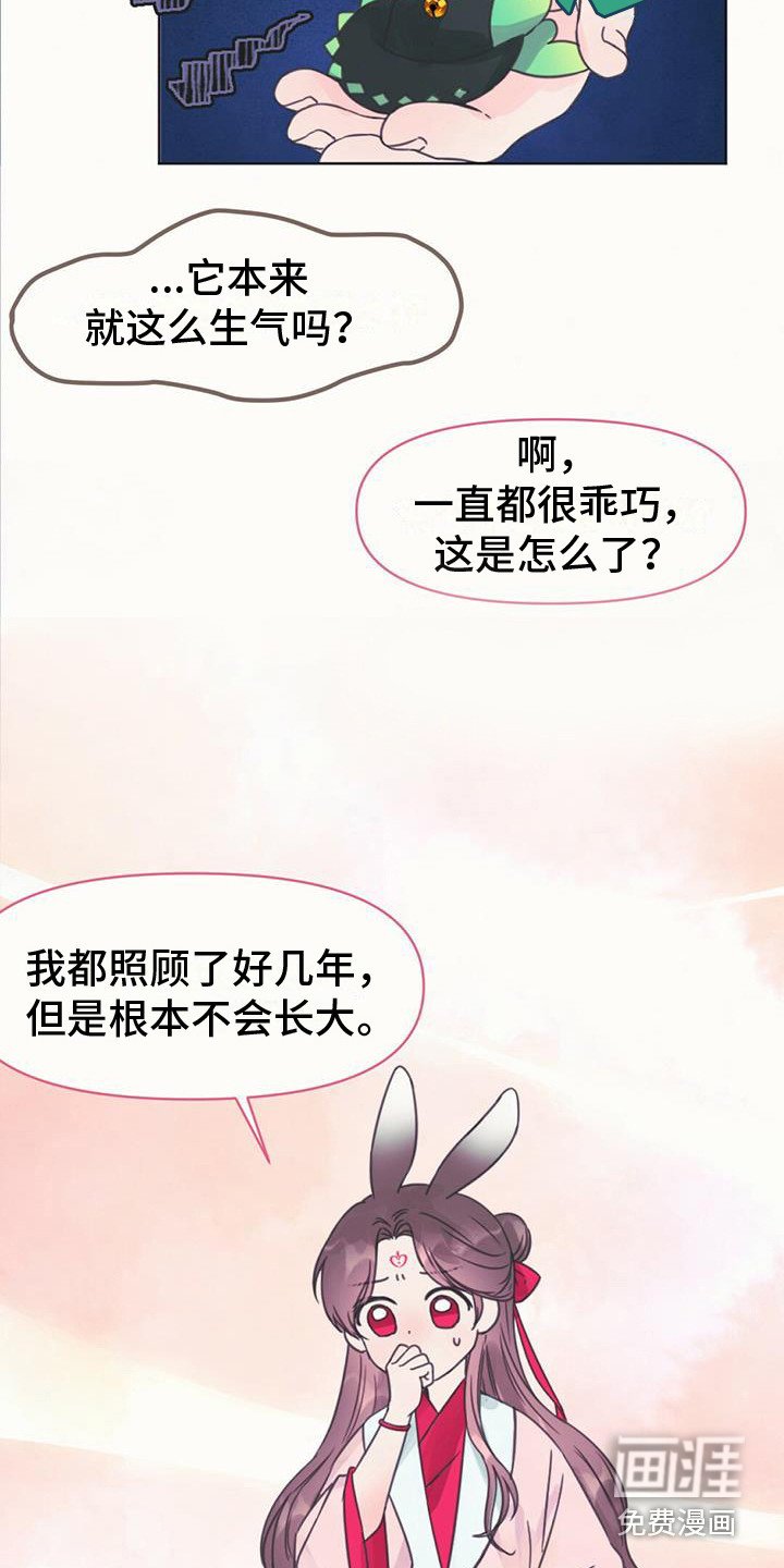 第5章：长不大