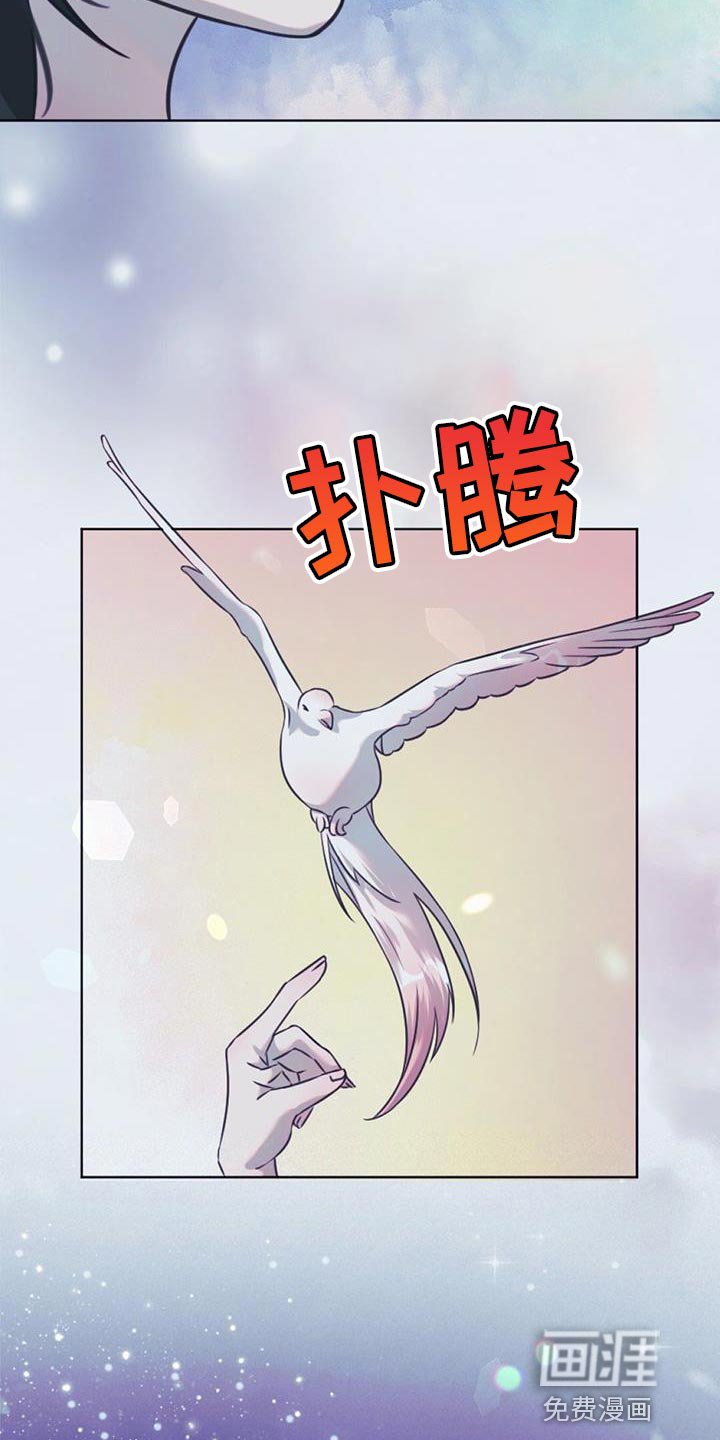 第56章：稍微走走
