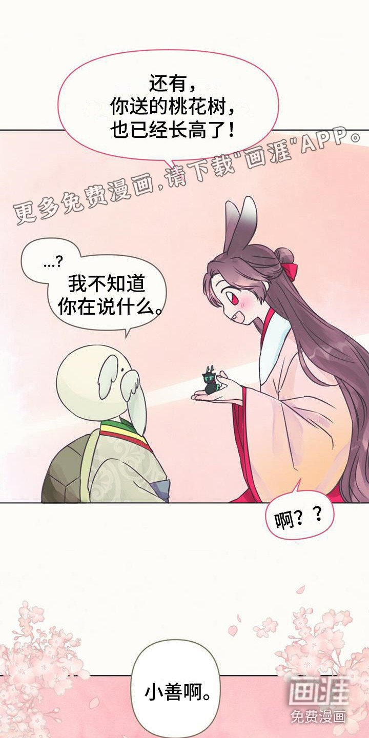 第6章：差点发现