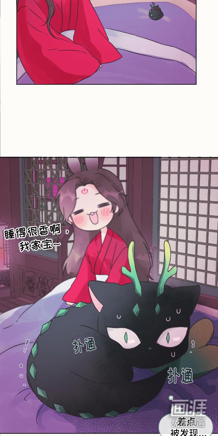 第6章：差点发现