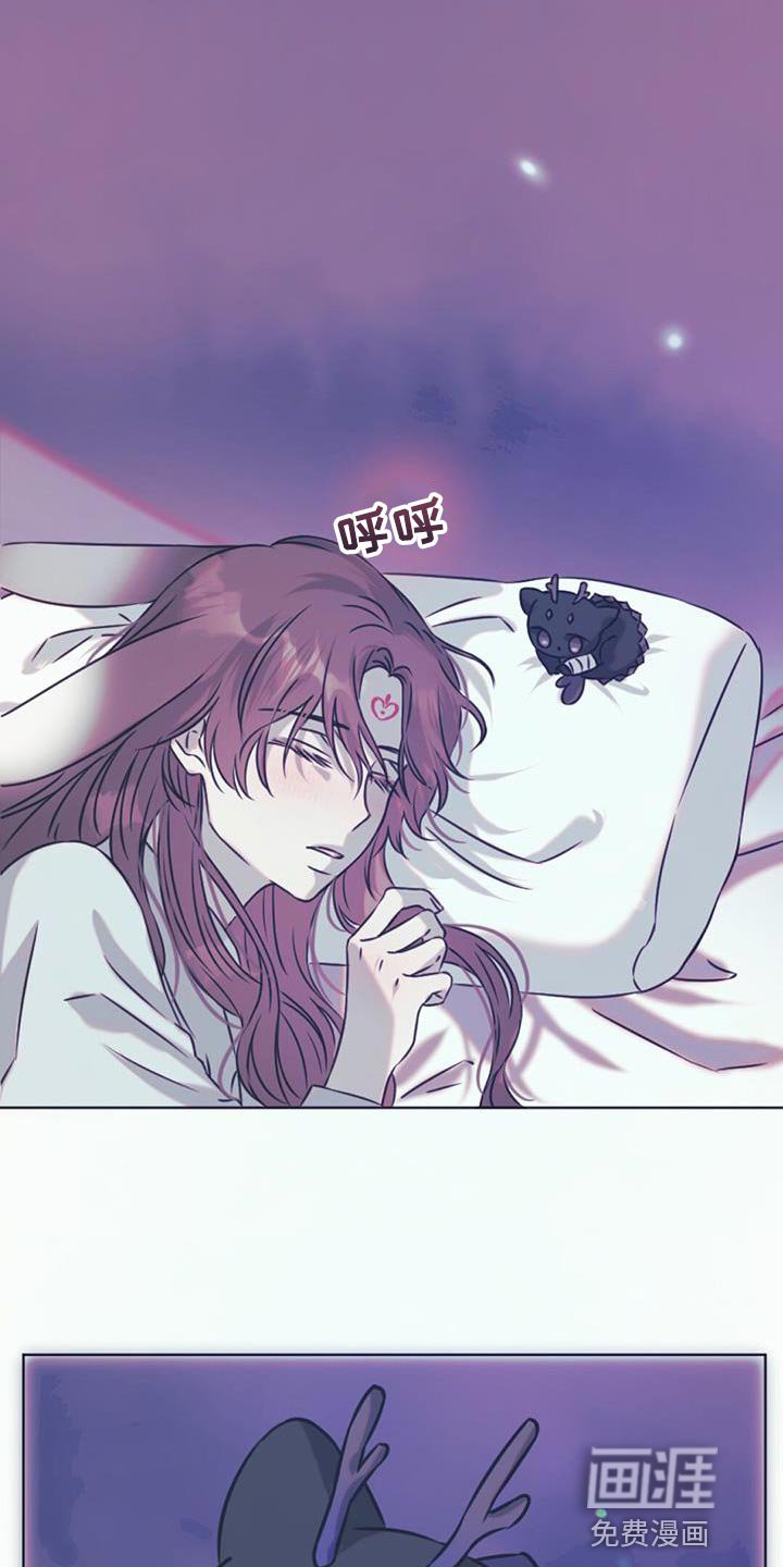 第62章：你还是当兔子吧