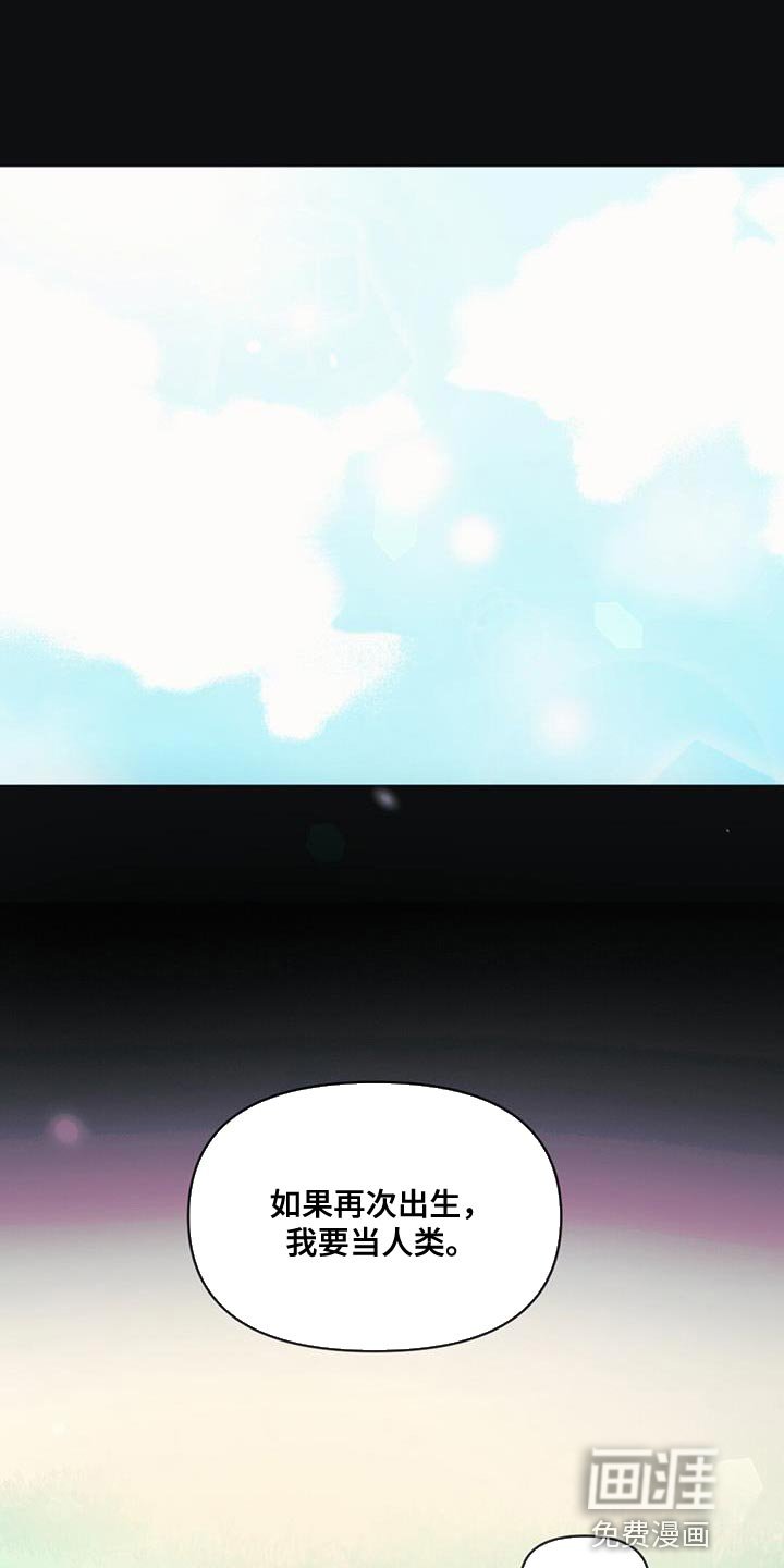 第62章：你还是当兔子吧