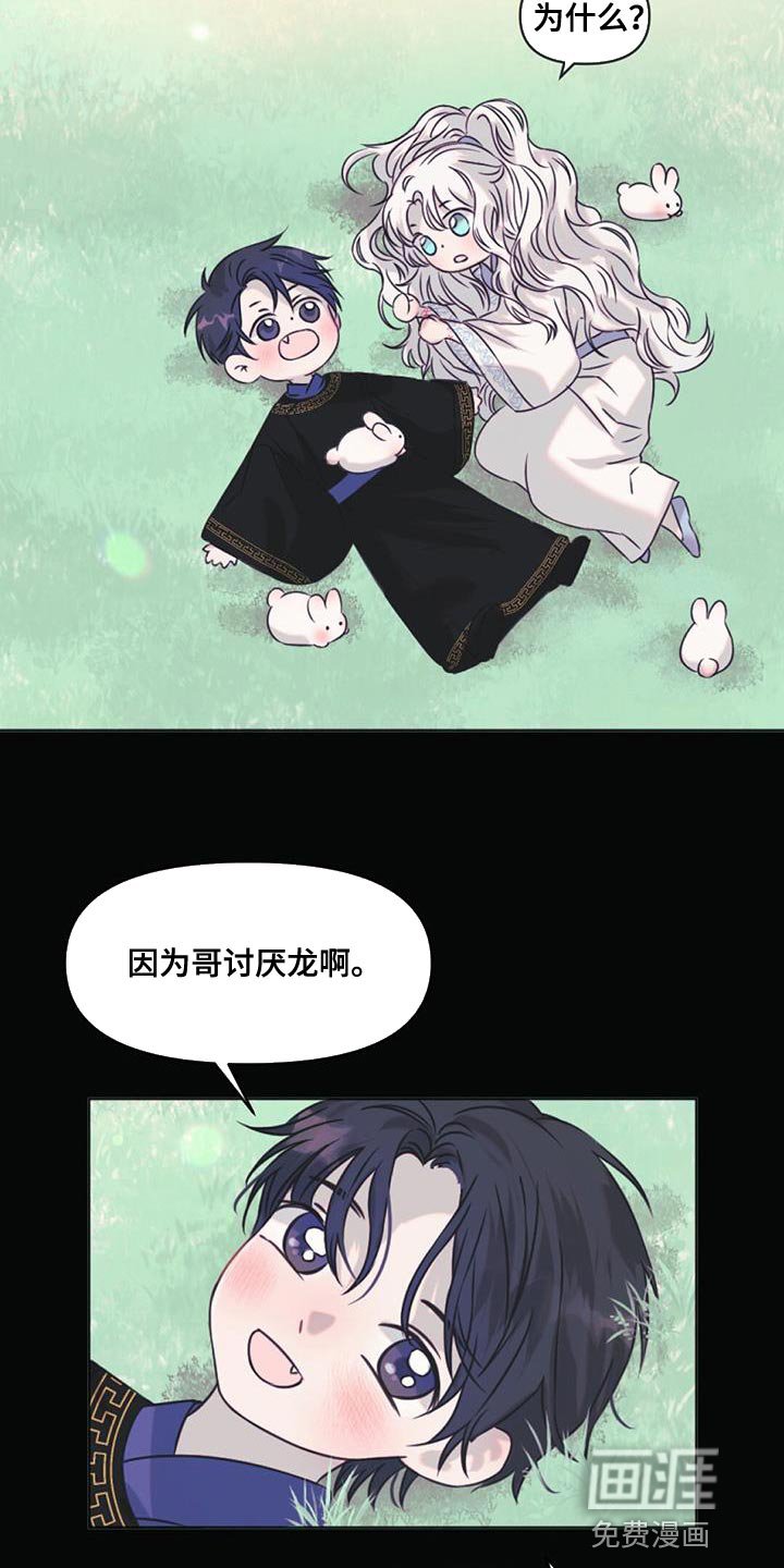 第62章：你还是当兔子吧