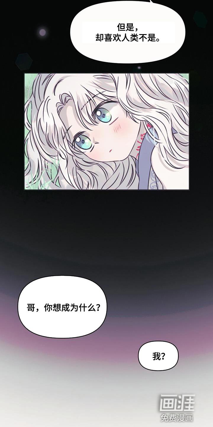 第62章：你还是当兔子吧