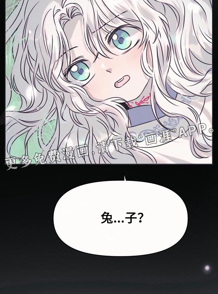 第62章：你还是当兔子吧