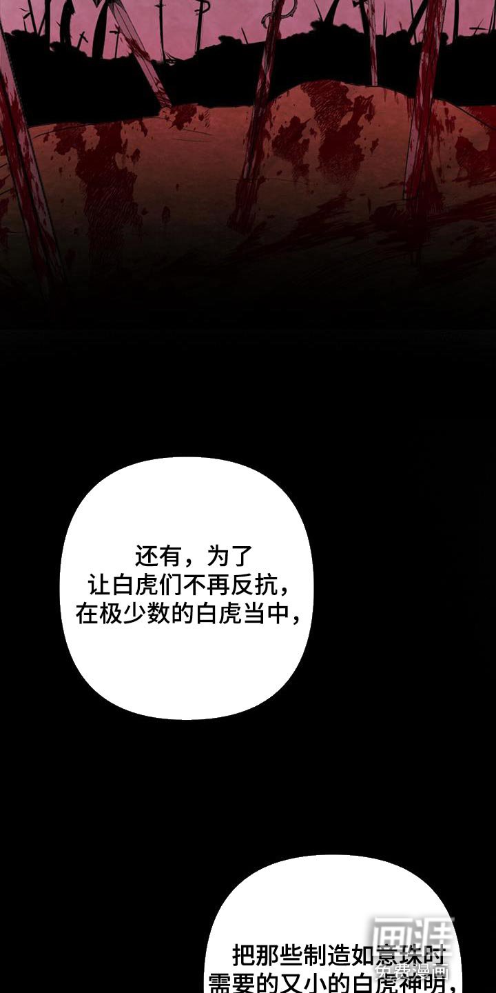 第67章：神珠的转世