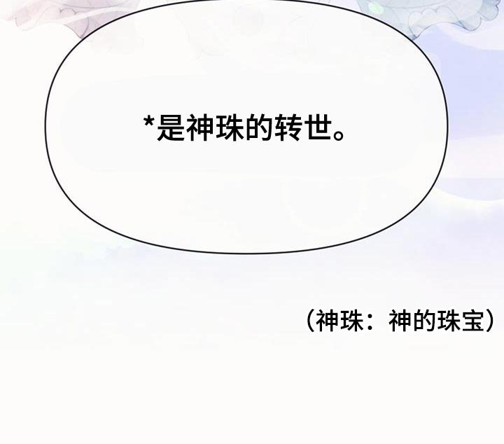 第67章：神珠的转世