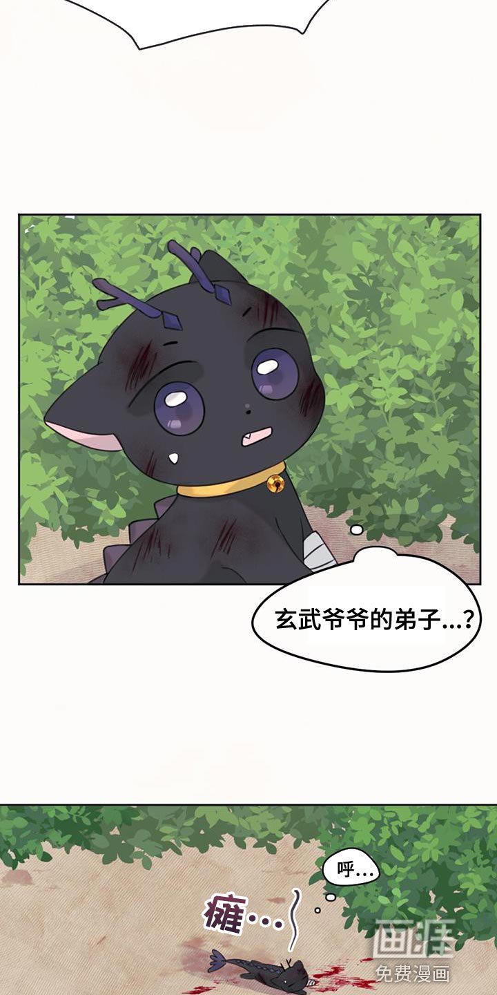 第68章：悲剧