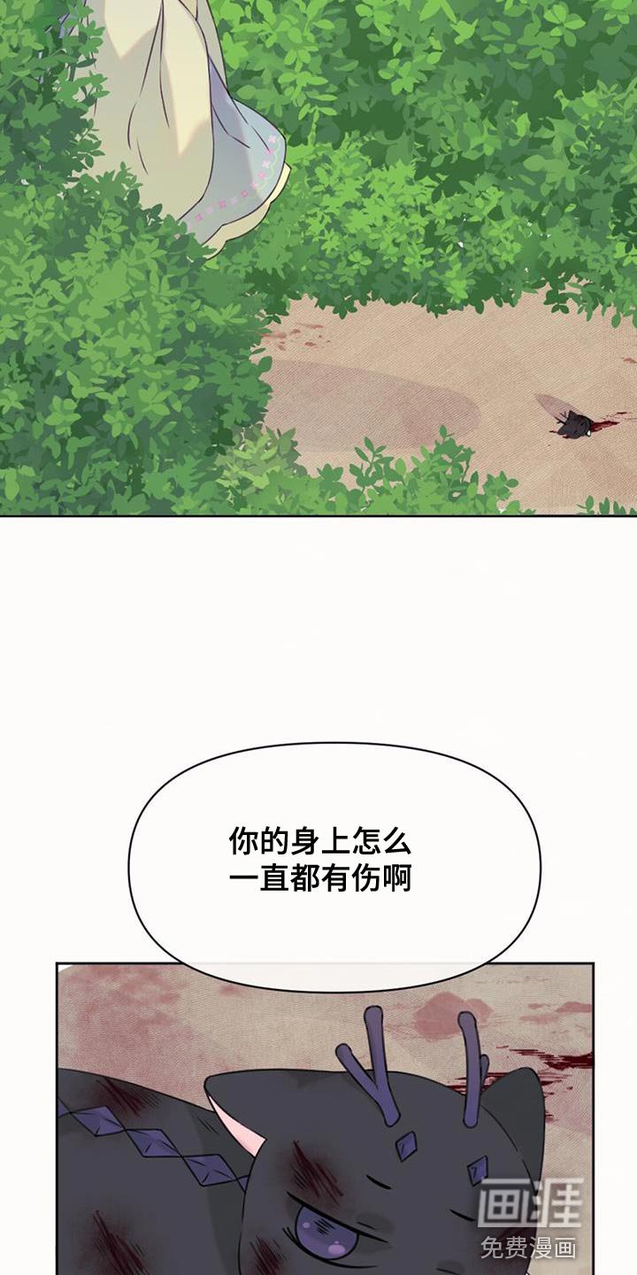 第68章：悲剧