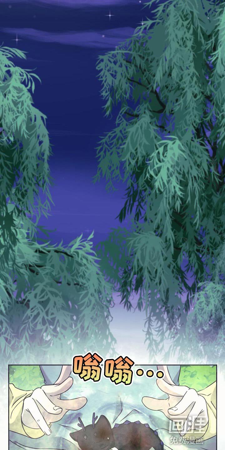 第70章：强盗