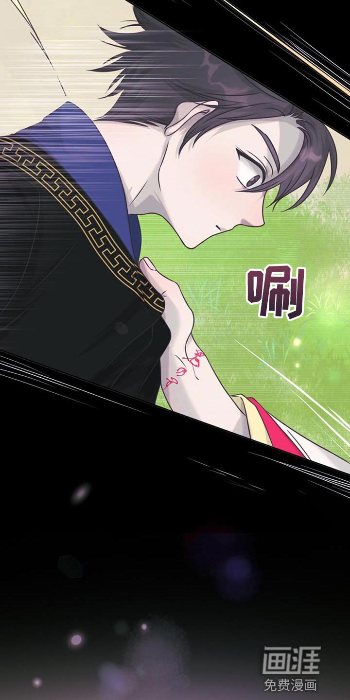 第74章：捡来的蛋