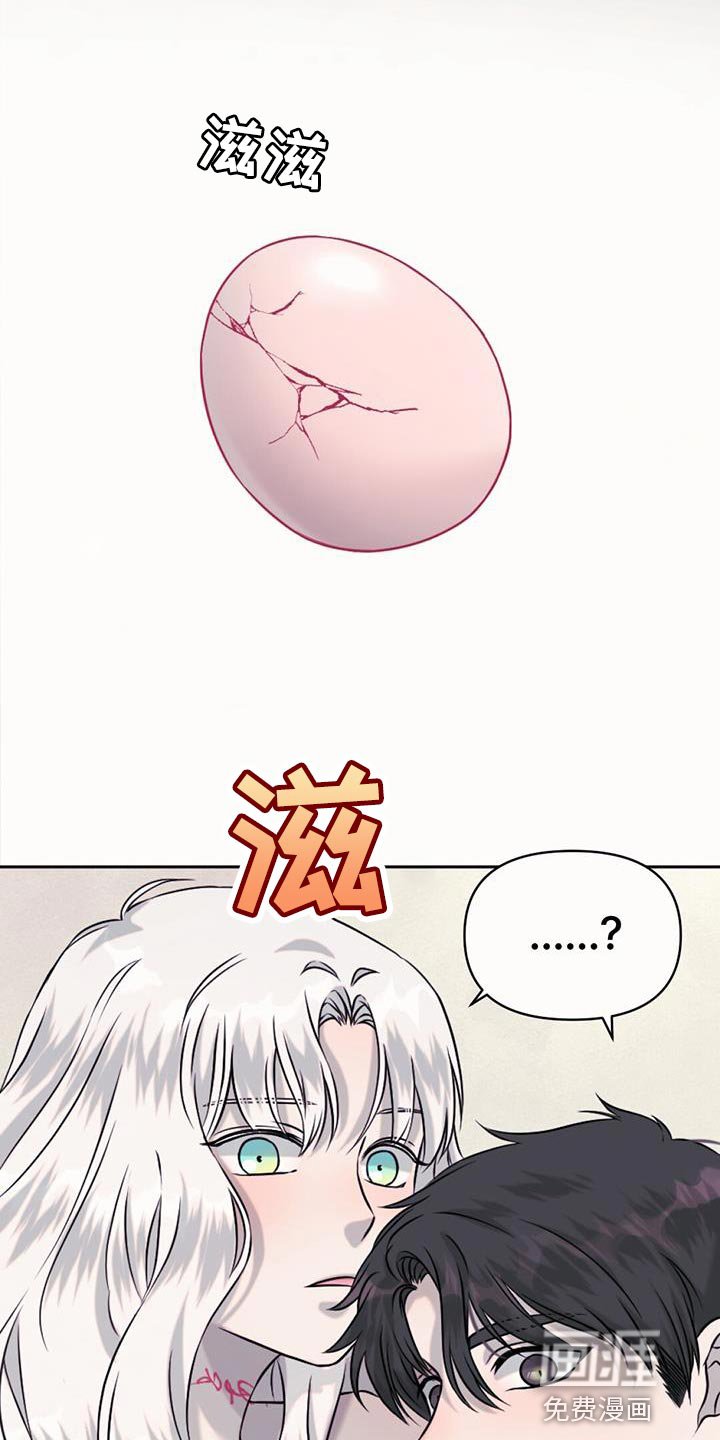 第74章：捡来的蛋