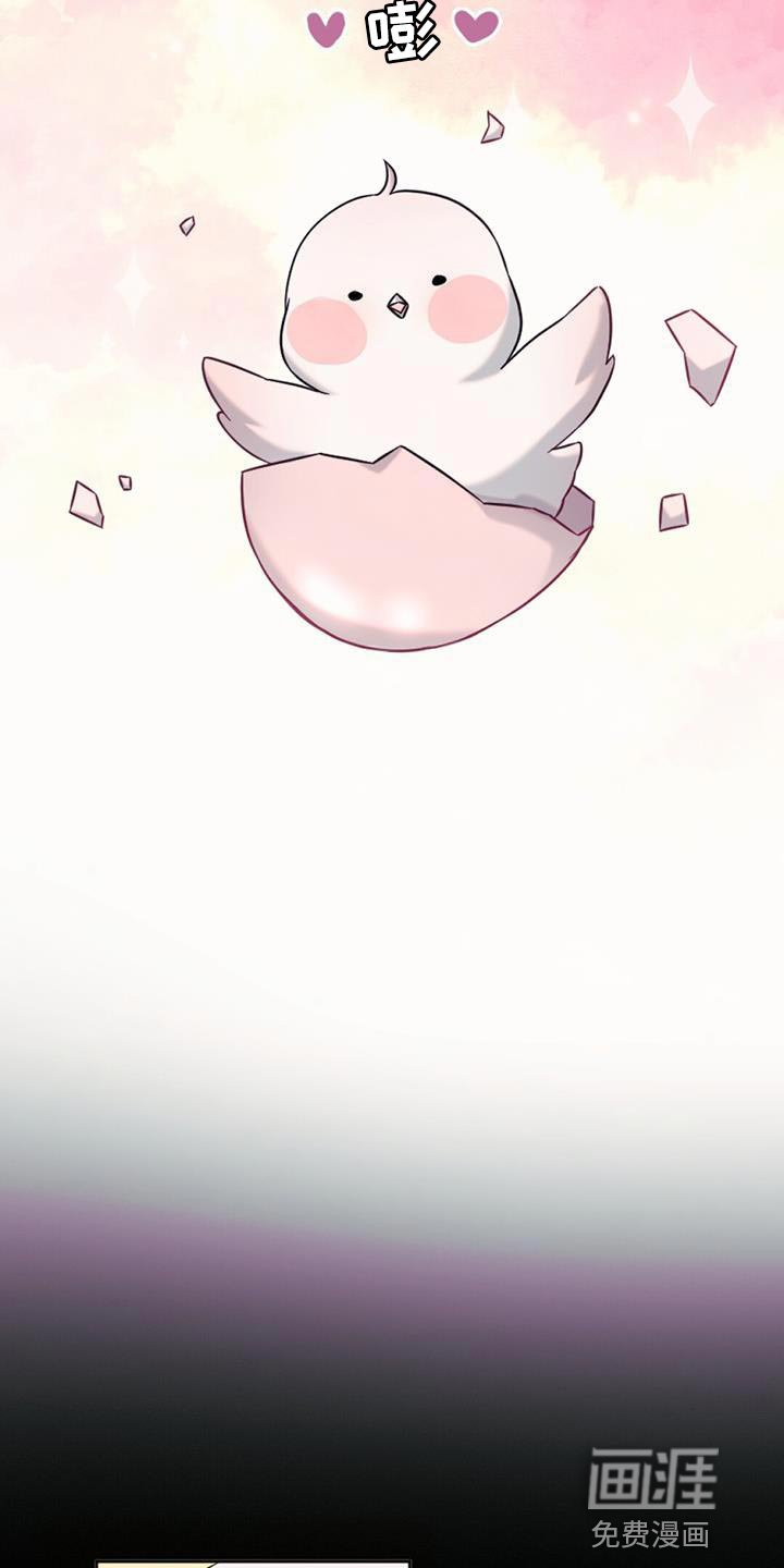 第74章：捡来的蛋