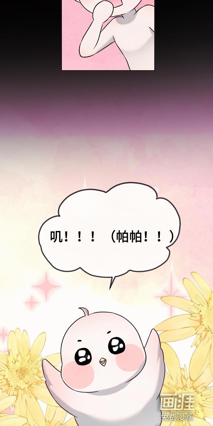 第74章：捡来的蛋