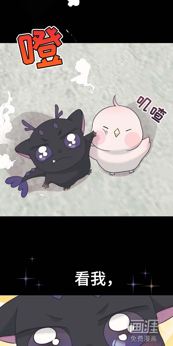 第75章：起名字