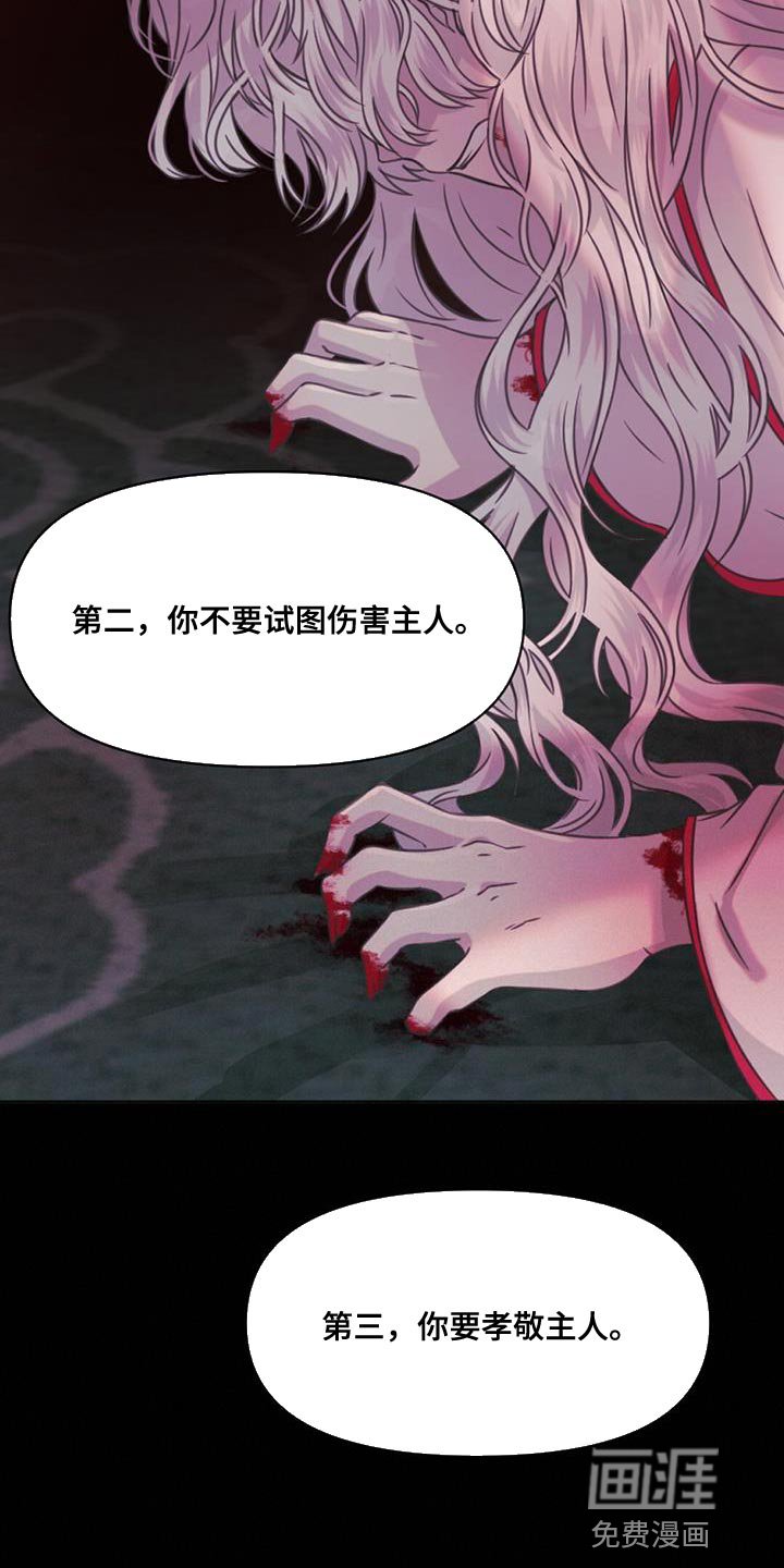 第84章：道具