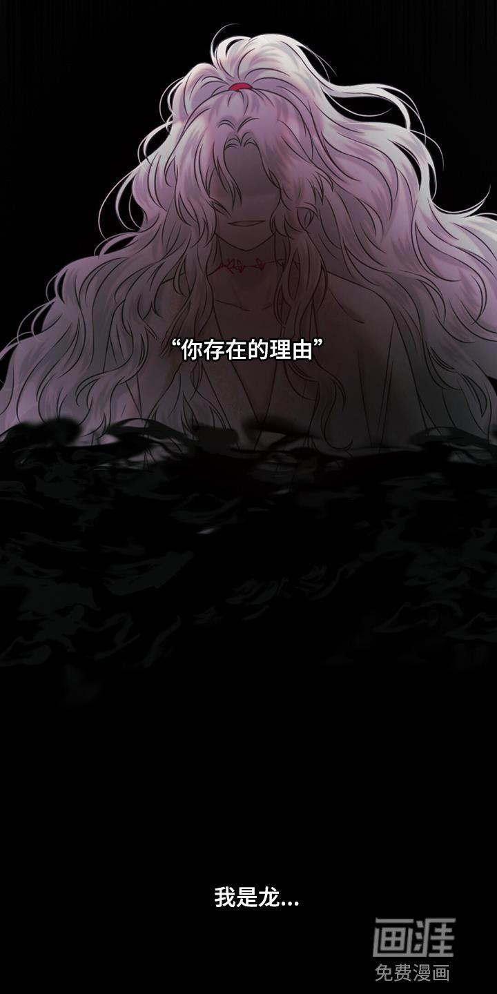 第96章：毁灭之龙