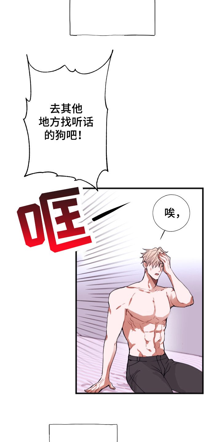 第1章：喜好
