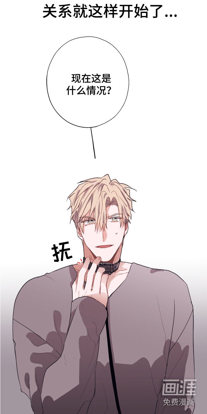 第10章：组成搭档（完结）