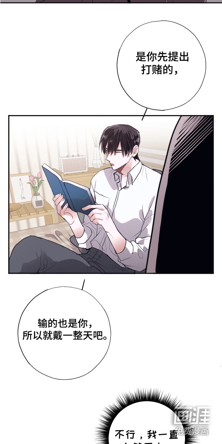 第10章：组成搭档（完结）