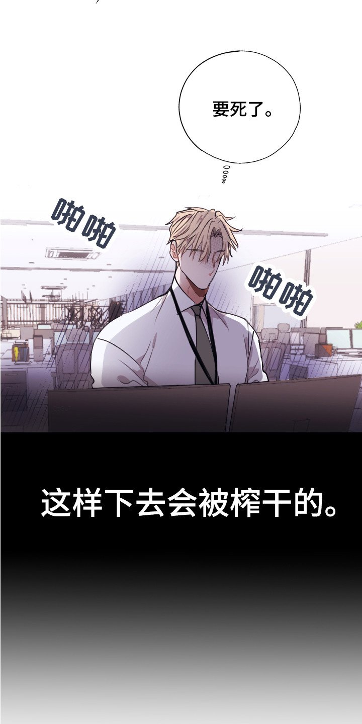 第3章：被针对