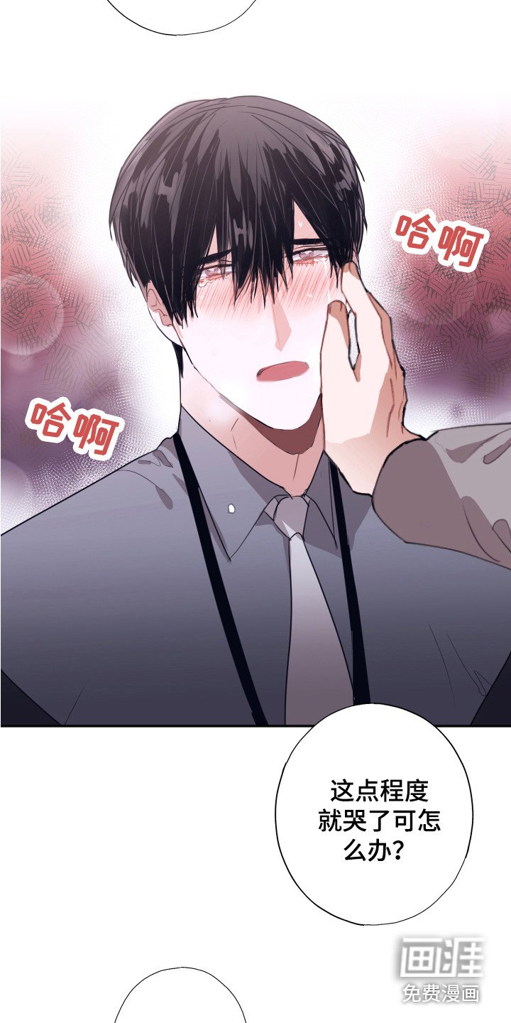 第6章：条件