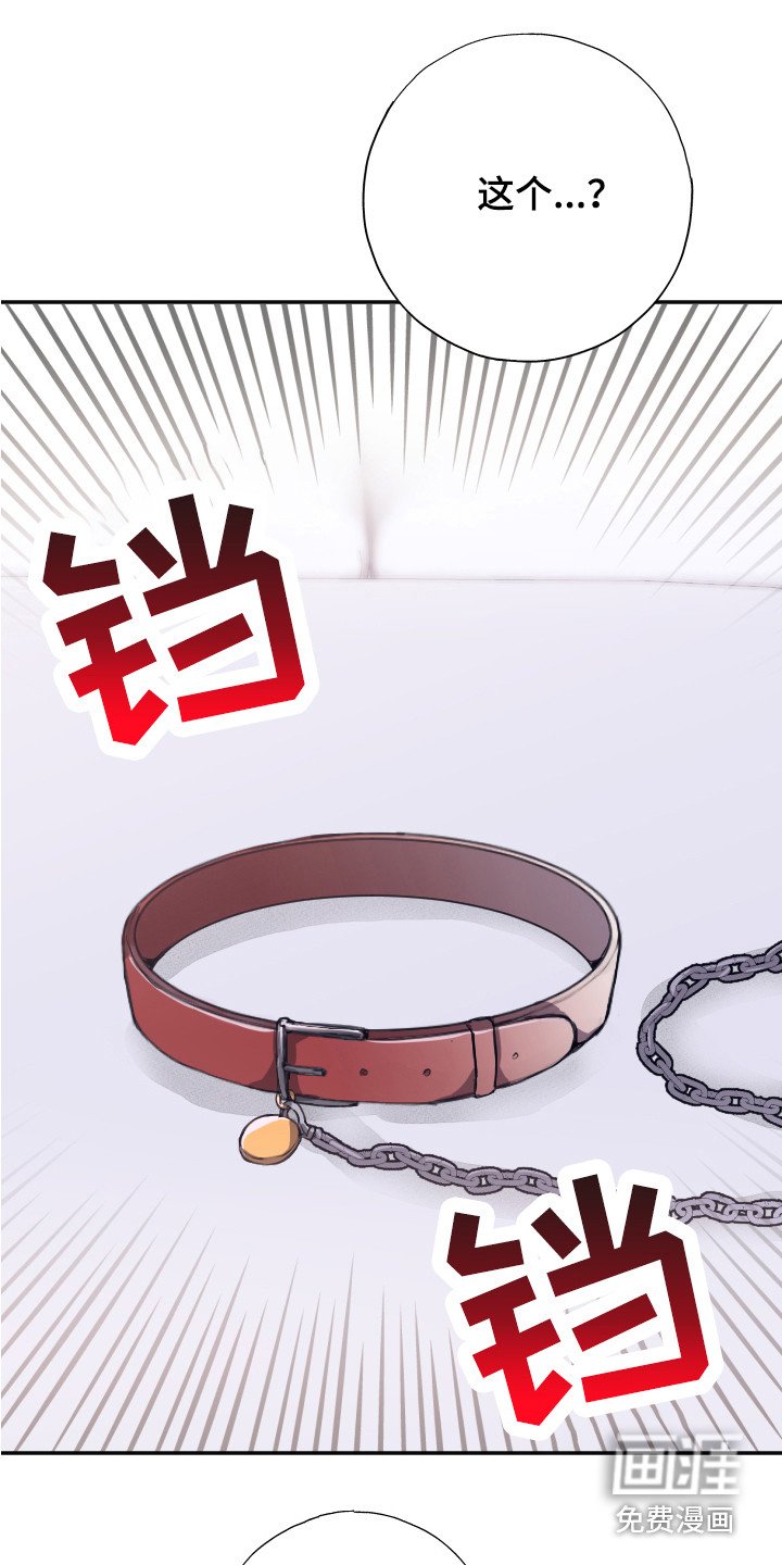 第6章：条件