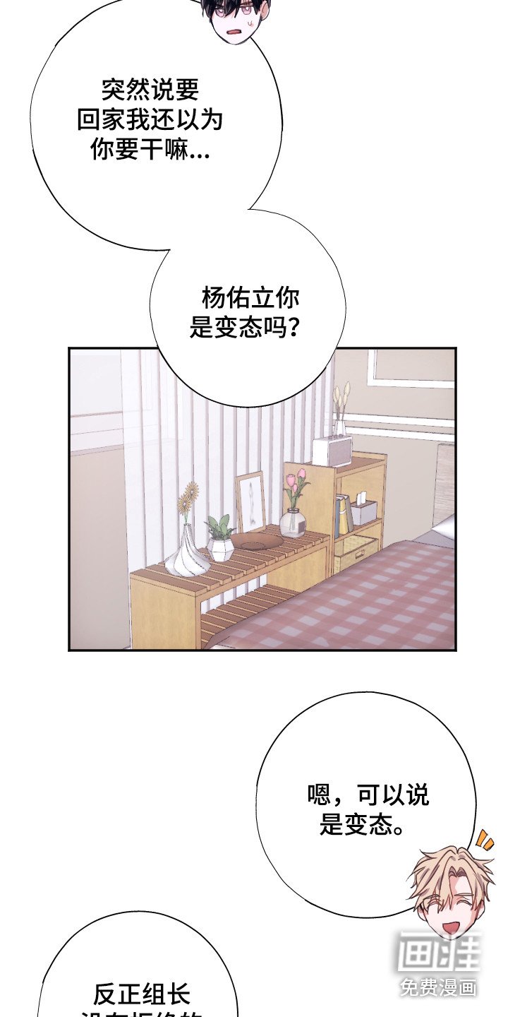 第6章：条件