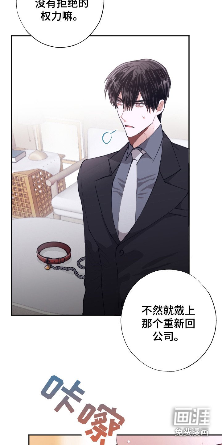 第6章：条件