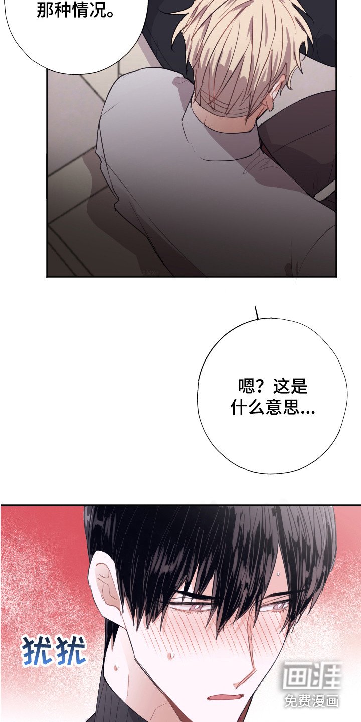 第9章：解释