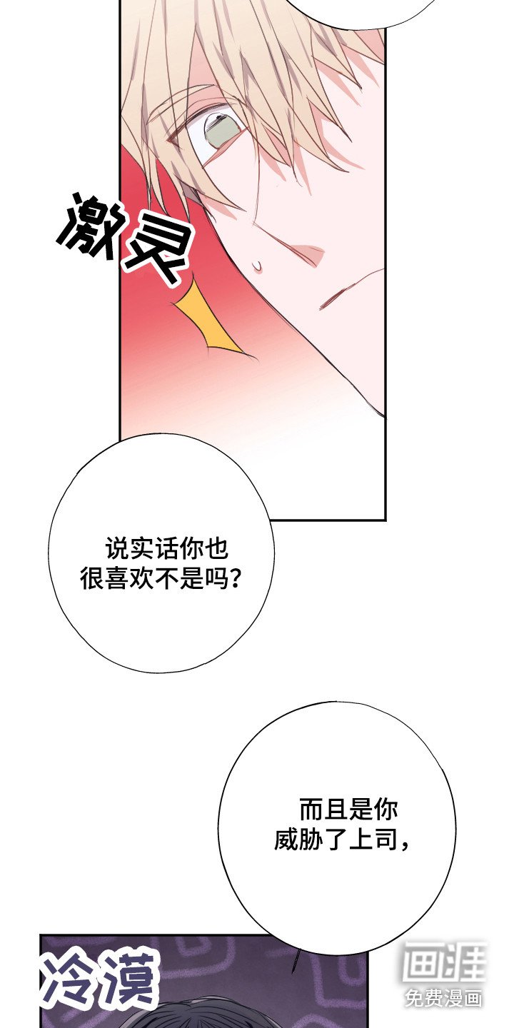 第9章：解释