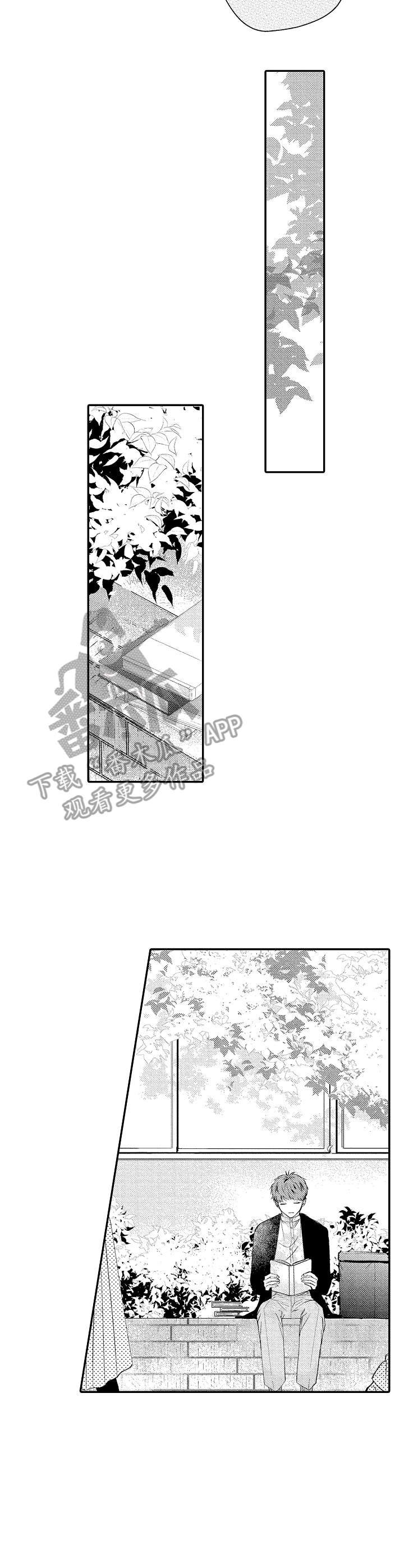 第11章：情感