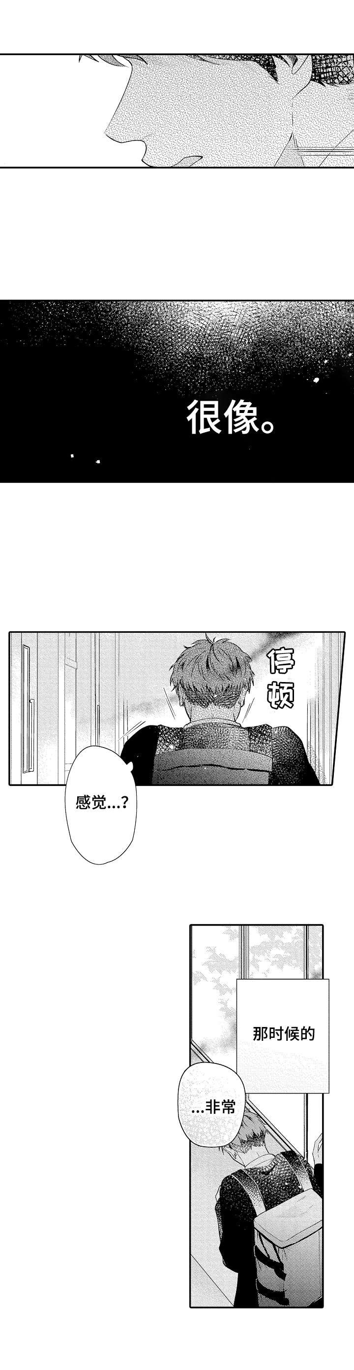 第13章：默认