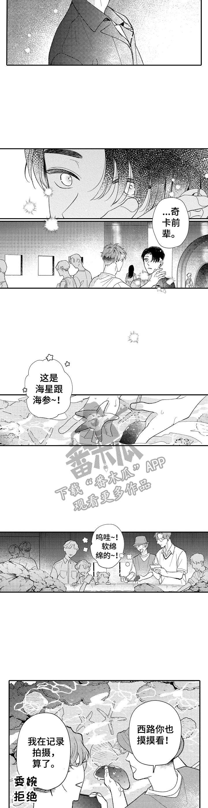 第29章：很新奇