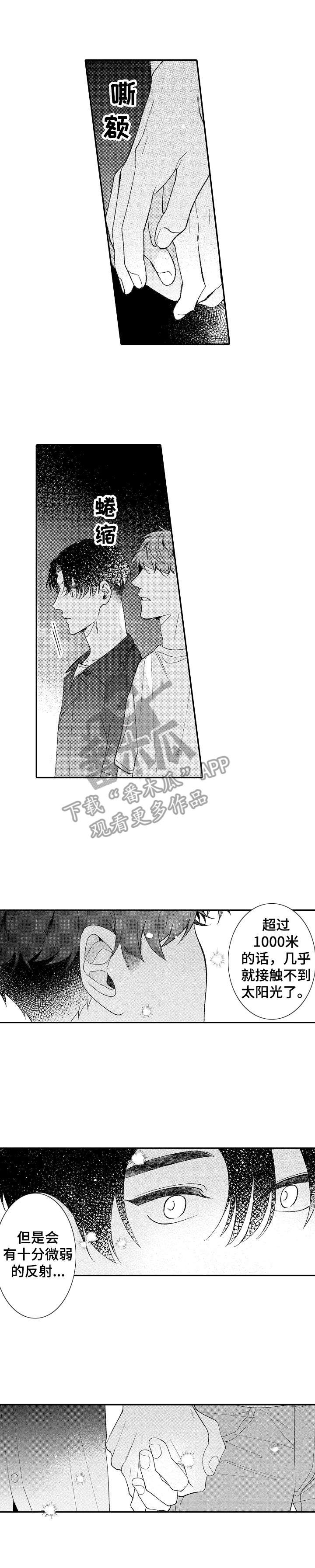 第31章：讨论