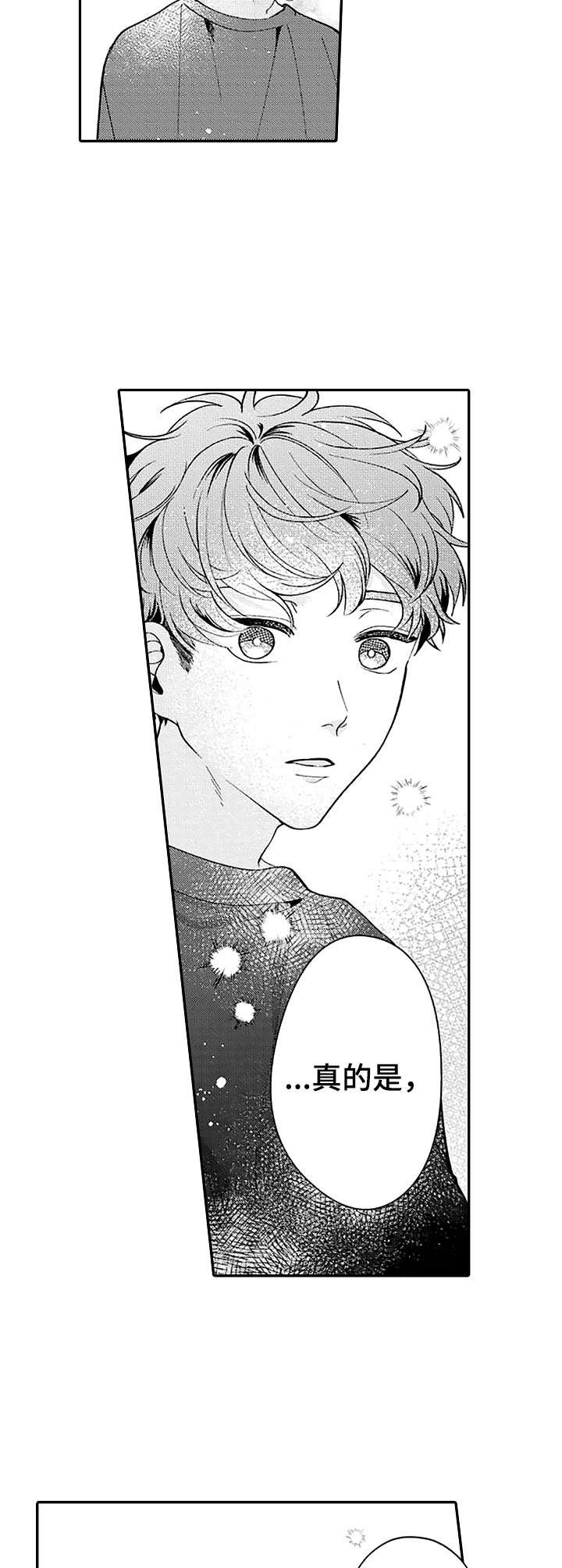 第6章：介绍