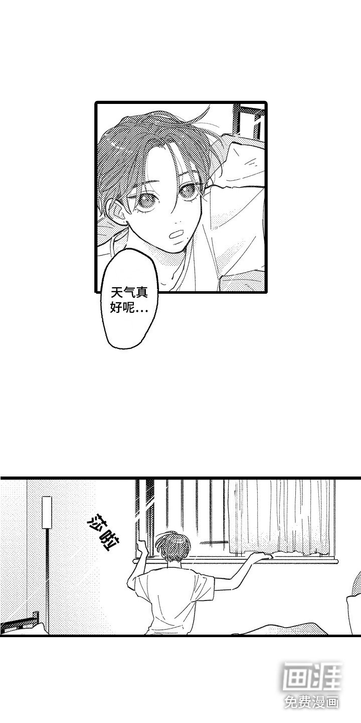 第13章：真实想法
