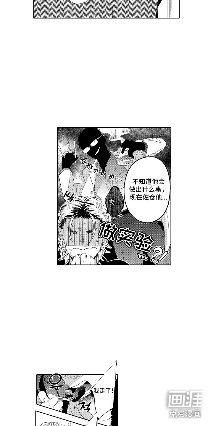 第23章：实验