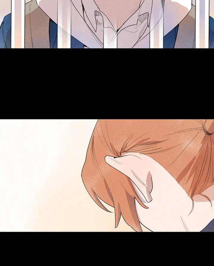 第113章：期待