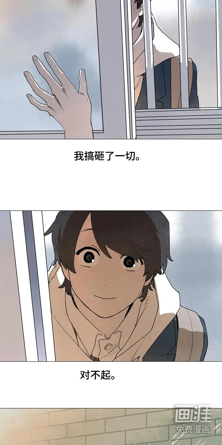 第116章：对不起