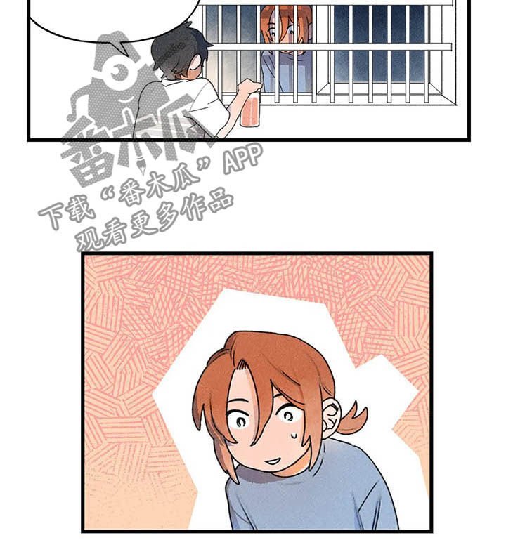 第19章：进展
