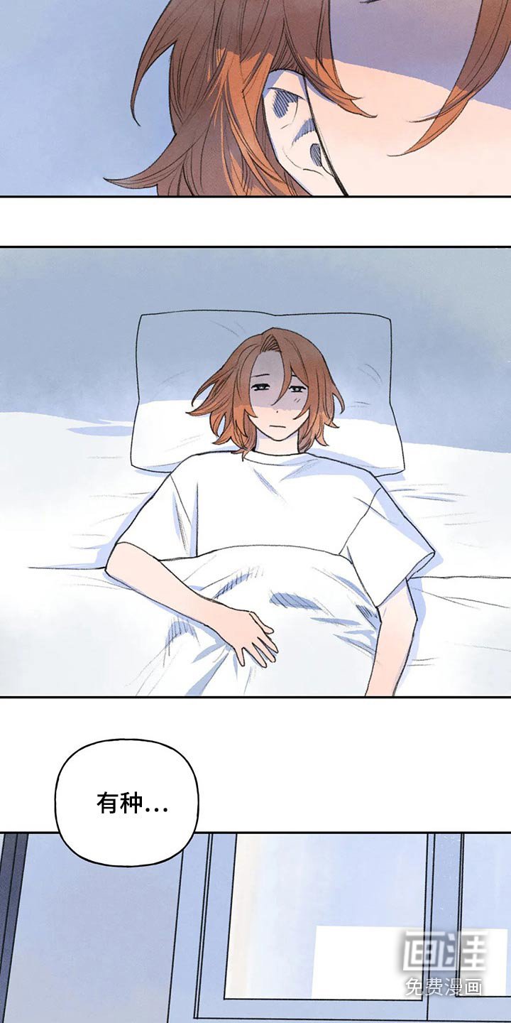 第62章：头盔
